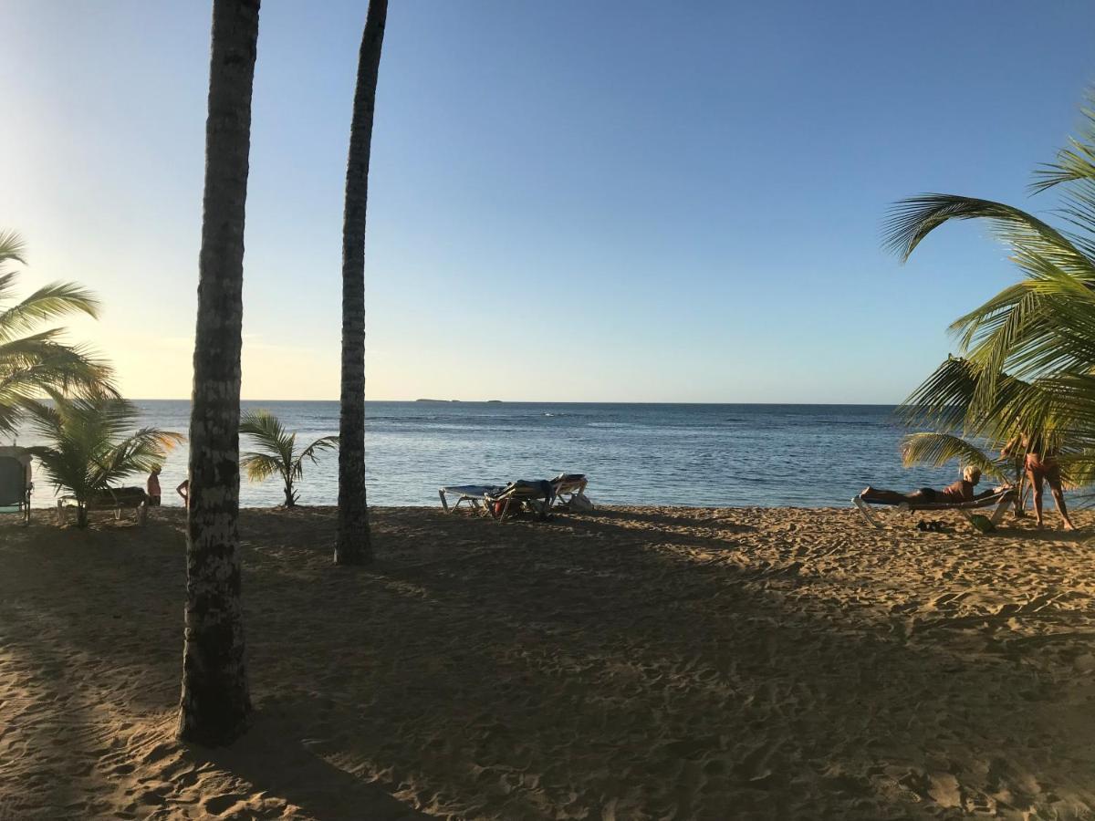 Cozy Oceanfront Villa With Direct Beach Access لاس تاريناس المظهر الخارجي الصورة