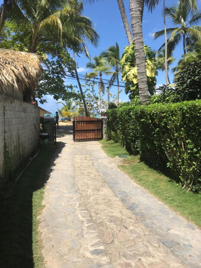 Cozy Oceanfront Villa With Direct Beach Access لاس تاريناس المظهر الخارجي الصورة